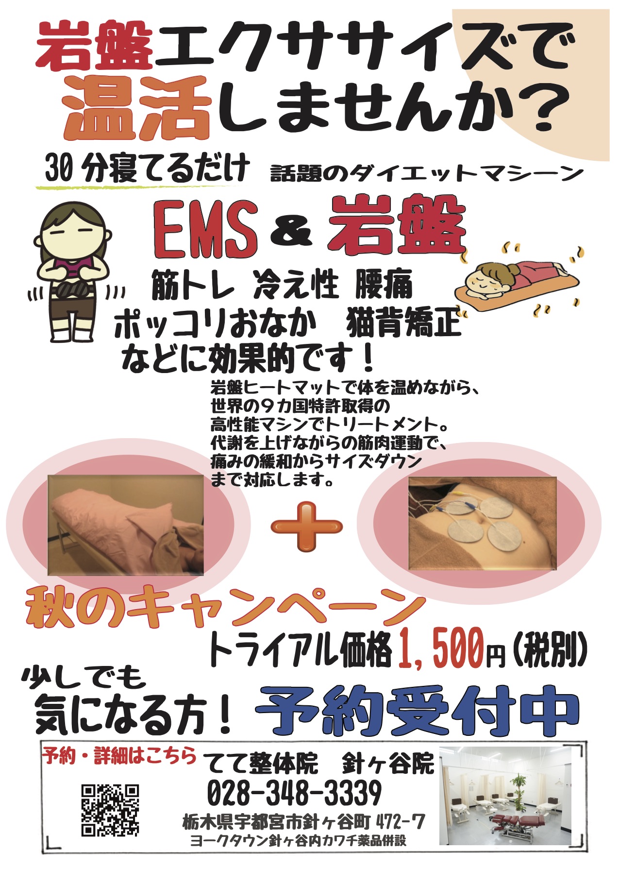 世界特許取得のEMSマシン 青白