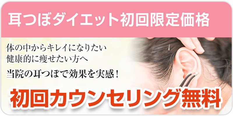 耳つぼダイエット初回料金